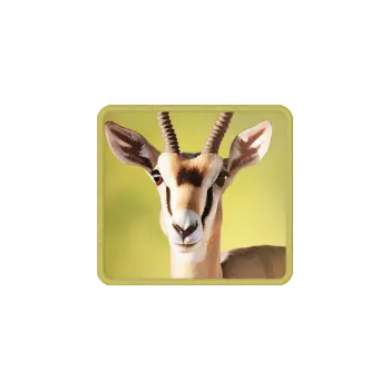 Safari Wilds 非洲大冒險完整介紹 — PG SOFT 遊戲評測 - 高價值符號